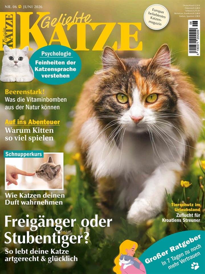 Geliebte Katze Abo